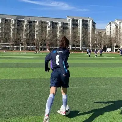 高文